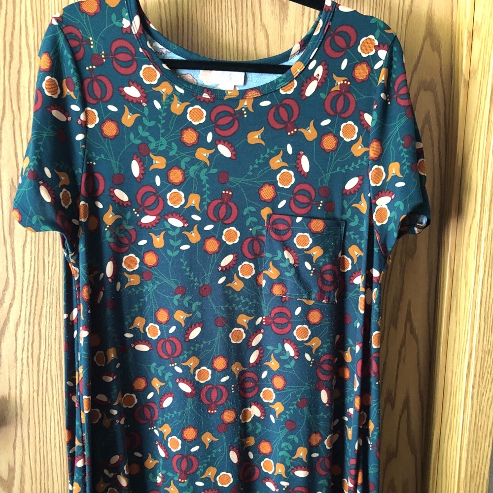 LuLaRoe Carly Swing Dress